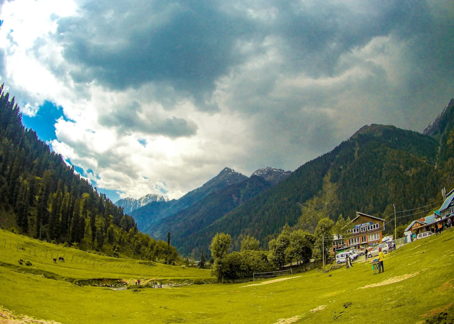 A wide green meadow and pine forest in Aru Valley near Pahalgam