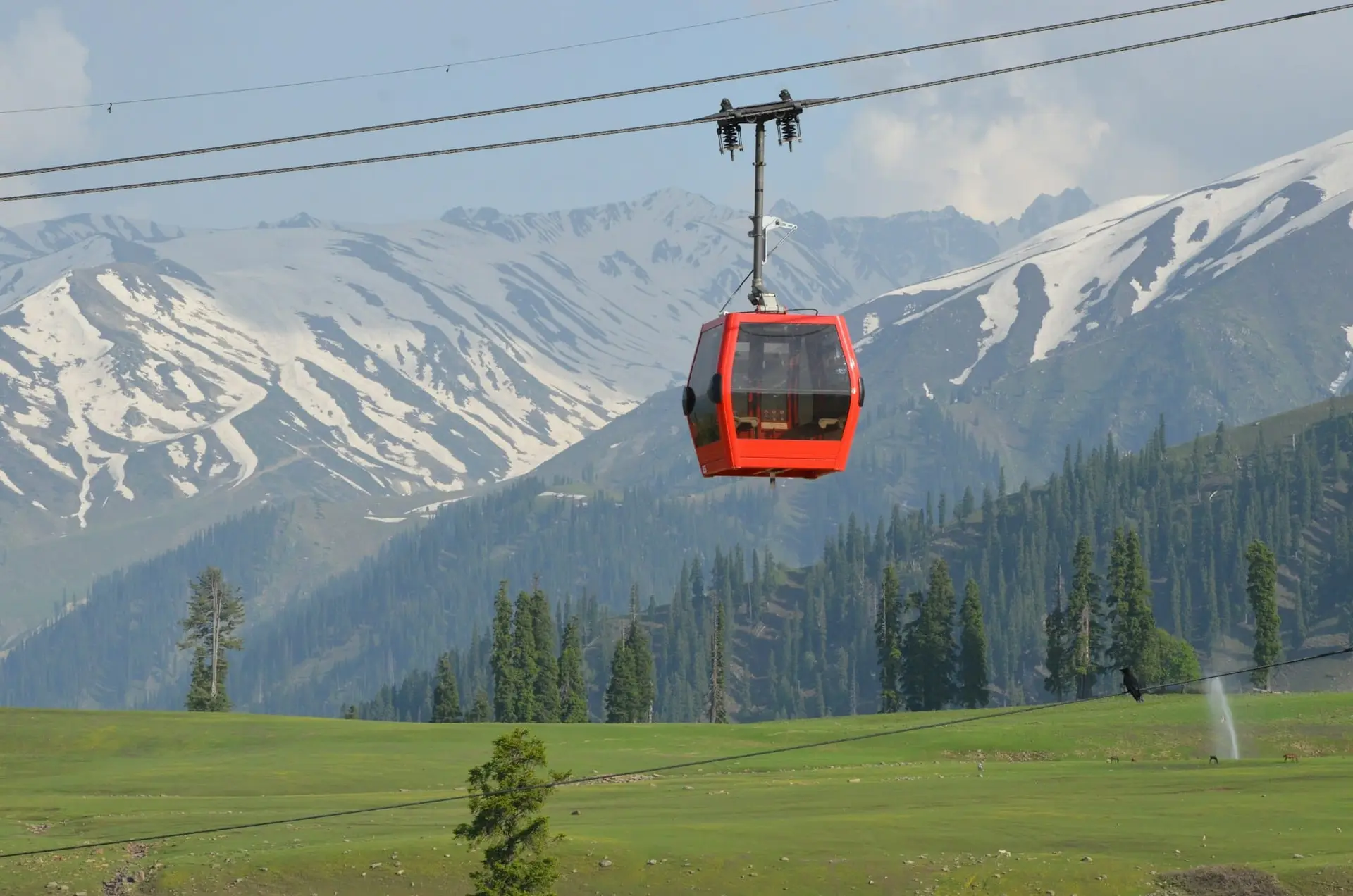 A red gondola cabin climbing above pine forest in Gulmarg