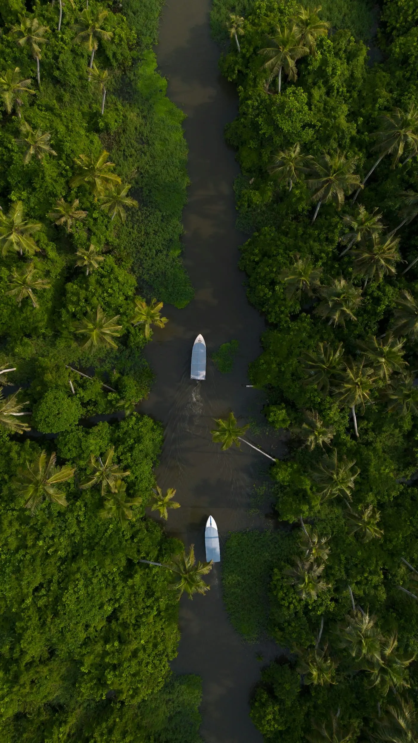 Two boats on a green backwater canal seen from above in Alleppey