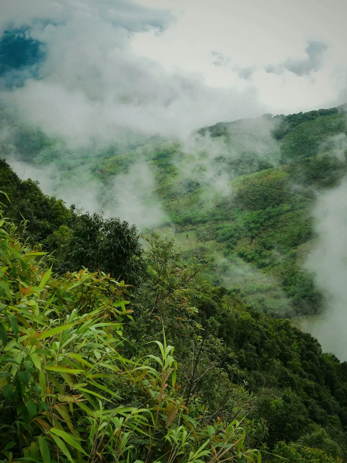 Mist rising out of the forest around Mawlynnong