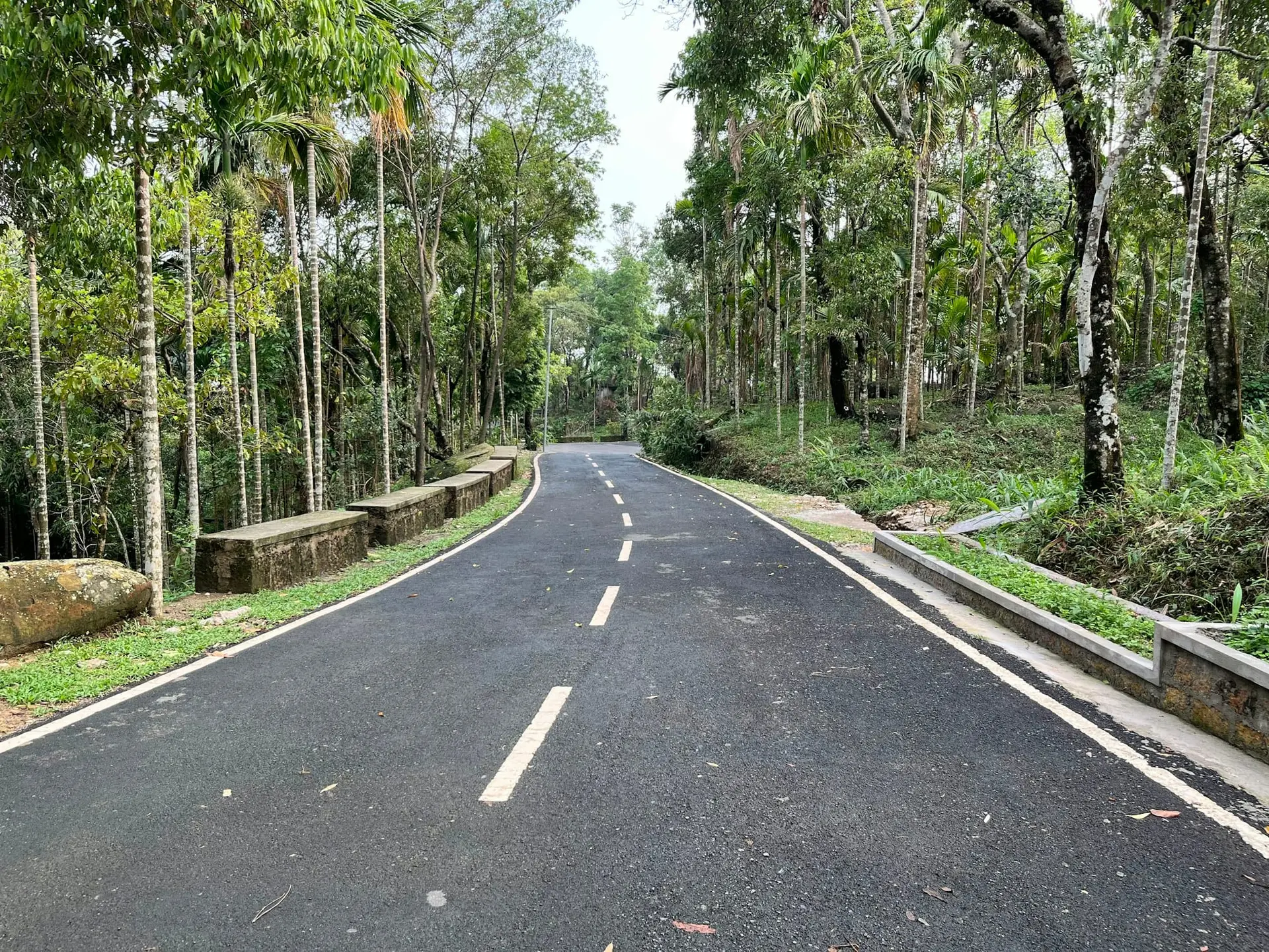 A quiet tree-lined road leading into Mawlynnong village