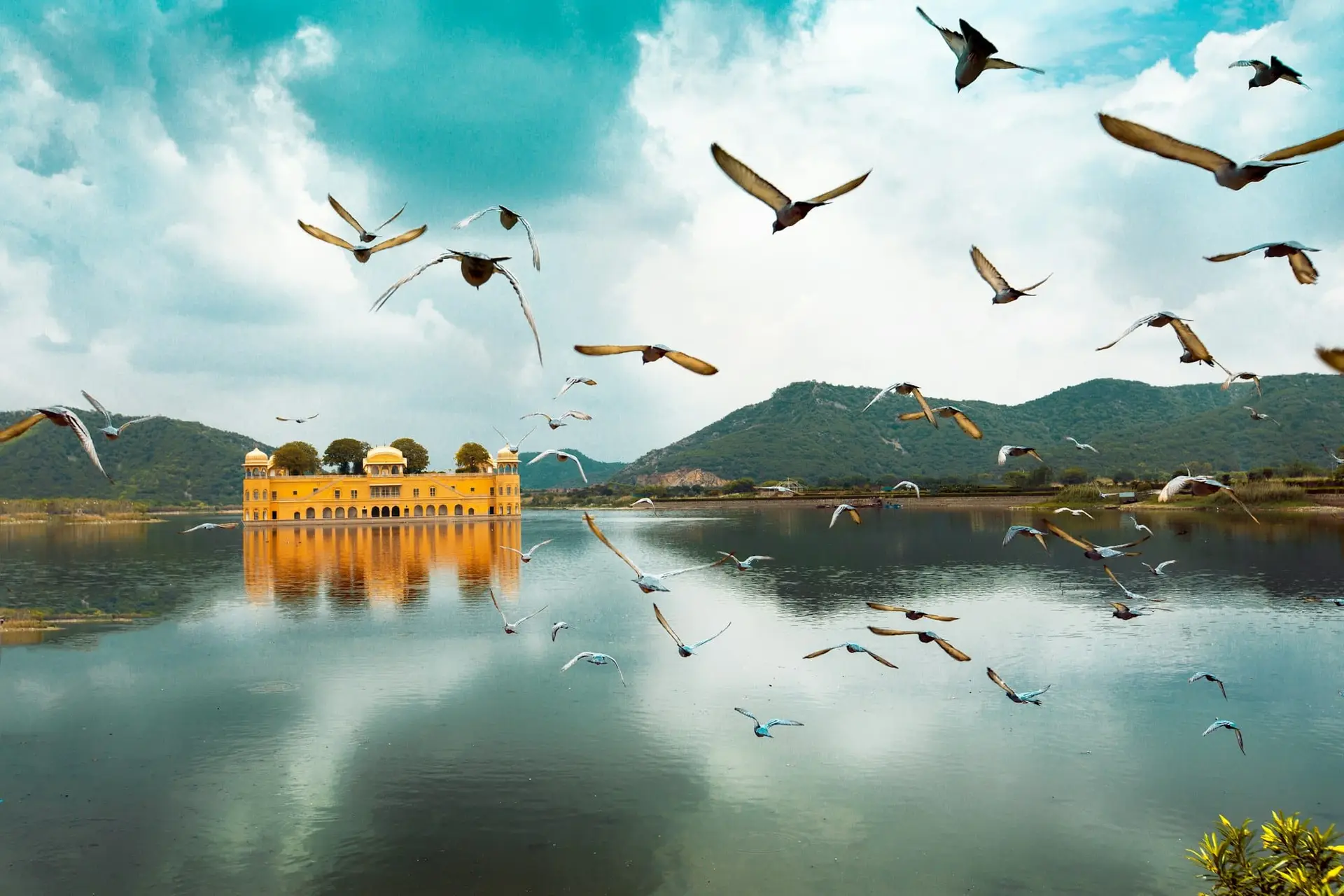 Birds wheeling over Man Sagar lake and the floating Jal Mahal palace in Jaipur