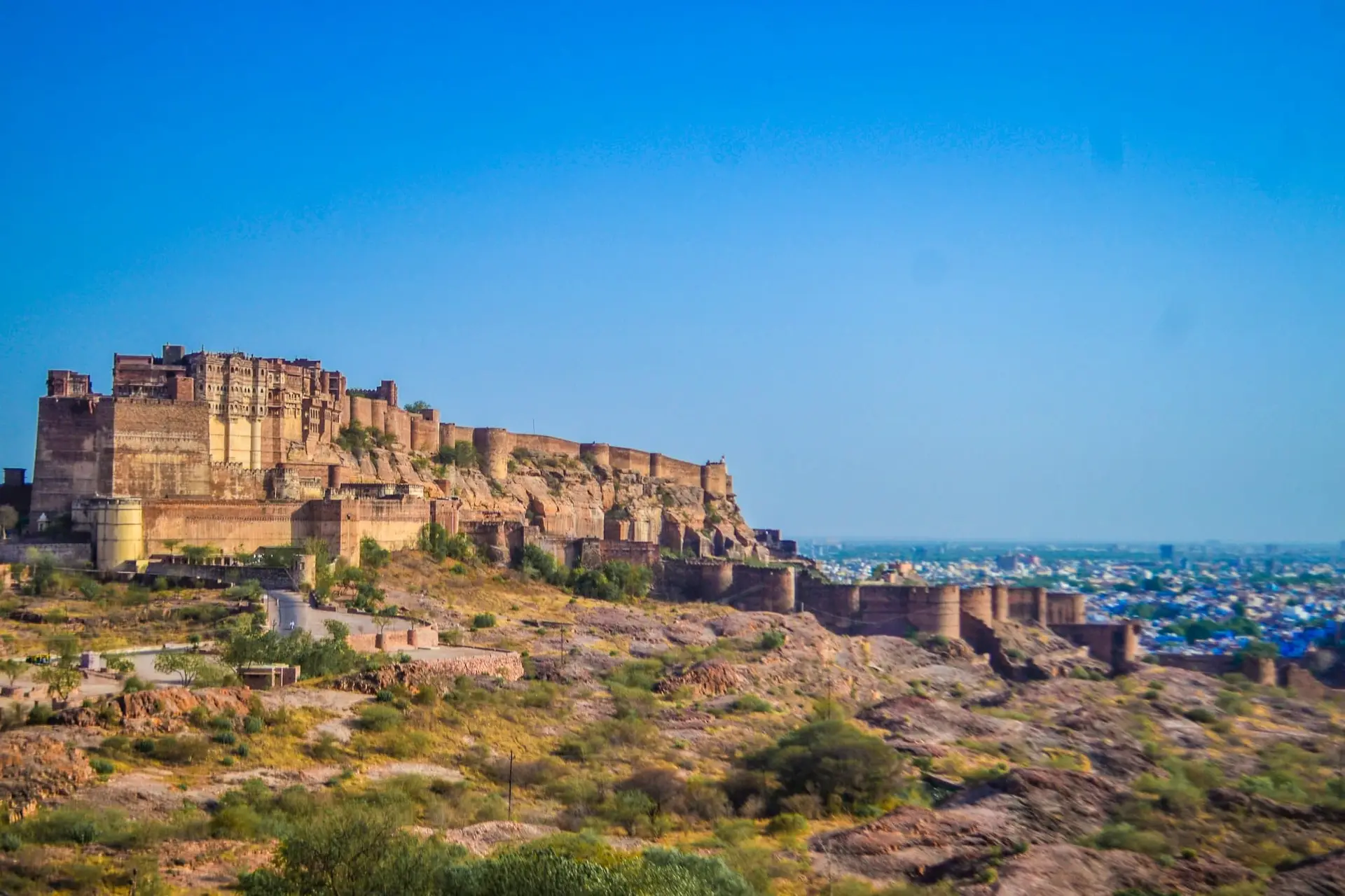 Mehrangarh Fort seen across dry grasses under a deep blue sky